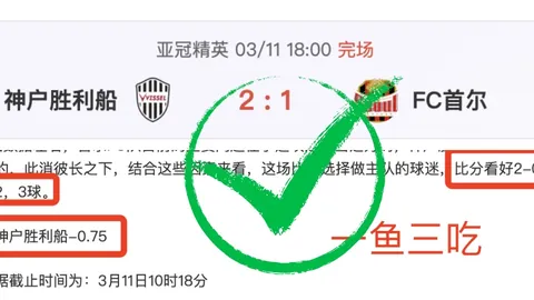 以色列军方对试图接近加沙缓冲区的巴勒斯坦人开火